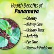 Ayurvedic Life Punarnava Powder For Cheap