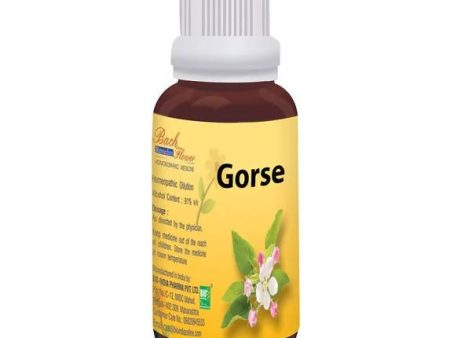 Bio India Homeopathy Bach Flower Gorse Dilution For Sale